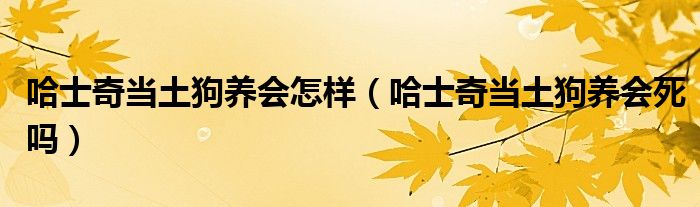 哈士奇当土狗养会怎样（哈士奇当土狗养会死吗）