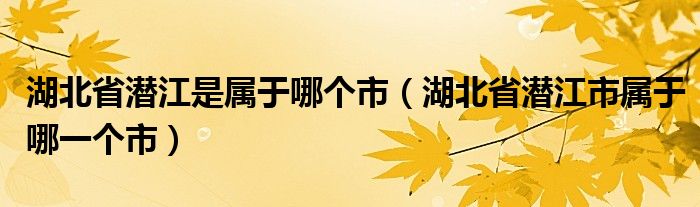 湖北省潜江是属于哪个市（湖北省潜江市属于哪一个市）