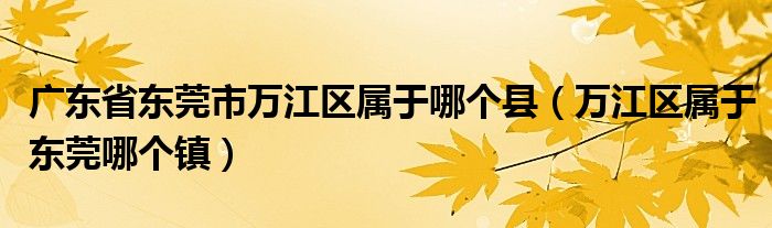 广东省东莞市万江区属于哪个县（万江区属于东莞哪个镇）