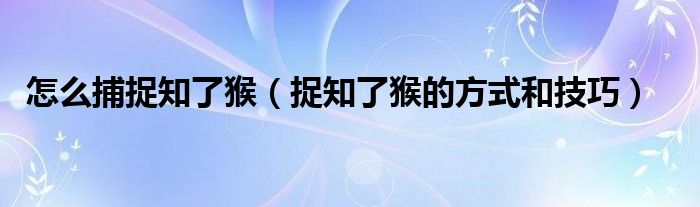 怎么捕捉知了猴（捉知了猴的方式和技巧）