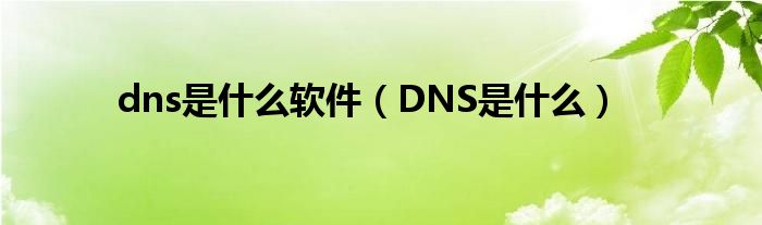 dns是什么软件（DNS是什么）