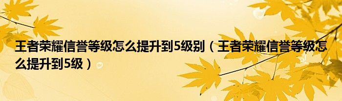 王者荣耀信誉等级怎么提升到5级别（王者荣耀信誉等级怎么提升到5级）