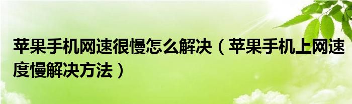 苹果手机网速很慢怎么解决（苹果手机上网速度慢解决方法）