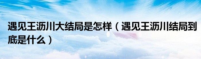 遇见王沥川大结局是怎样（遇见王沥川结局到底是什么）