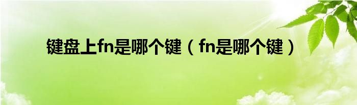 键盘上fn是哪个键（fn是哪个键）