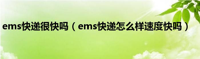 ems快递很快吗（ems快递怎么样速度快吗）