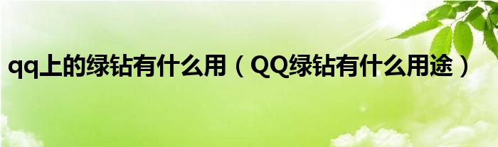 qq上的绿钻有什么用（QQ绿钻有什么用途）