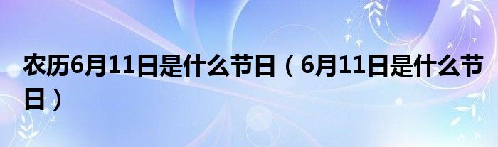 农历6月11日是什么节日（6月11日是什么节日）