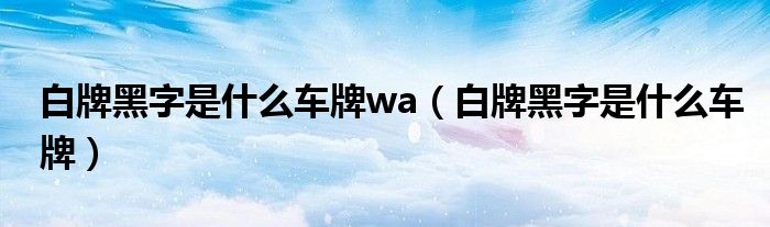 白牌黑字是什么车牌wa（白牌黑字是什么车牌）