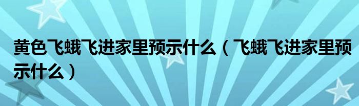 黄色飞蛾飞进家里预示什么（飞蛾飞进家里预示什么）