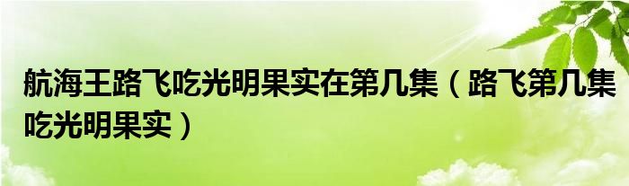 航海王路飞吃光明果实在第几集（路飞第几集吃光明果实）