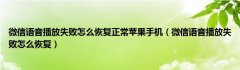 微信语音播放失败怎么恢复正常苹果手机（微信语音播放失败怎么恢复）