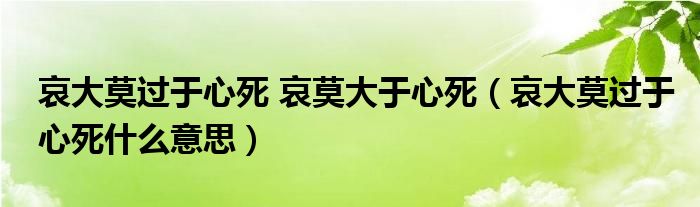 哀大莫过于心死 哀莫大于心死（哀大莫过于心死什么意思）