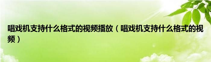 唱戏机支持什么格式的视频播放（唱戏机支持什么格式的视频）