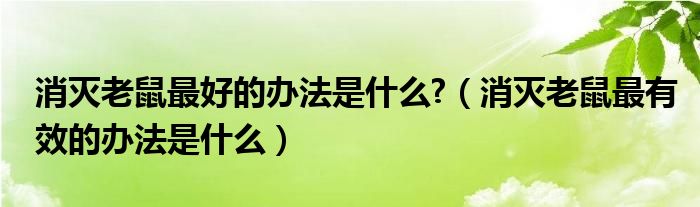 消灭老鼠最好的办法是什么?（消灭老鼠最有效的办法是什么）