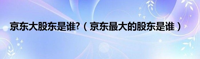 京东大股东是谁?（京东最大的股东是谁）