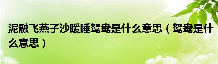 泥融飞燕子沙暖睡鸳鸯是什么意思（鸳鸯是什么意思）