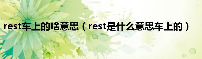 rest车上的啥意思（rest是什么意思车上的）