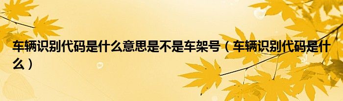 车辆识别代码是什么意思是不是车架号（车辆识别代码是什么）