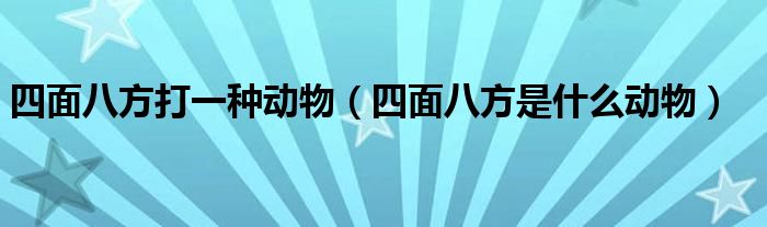 四面八方打一种动物（四面八方是什么动物）