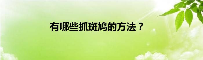 有哪些抓斑鸠的方法？