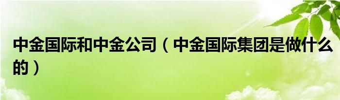 中金国际和中金公司（中金国际集团是做什么的）