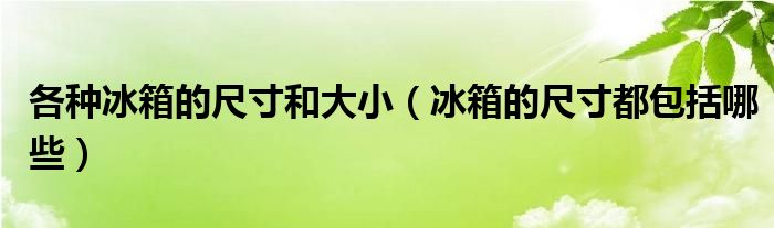 各种冰箱的尺寸和大小（冰箱的尺寸都包括哪些）