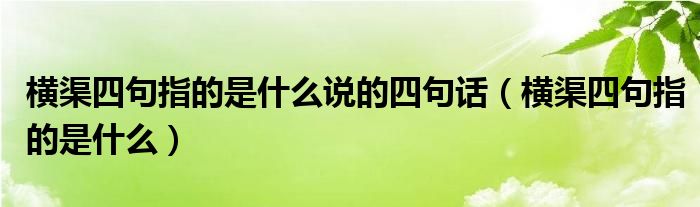 横渠四句指的是什么说的四句话（横渠四句指的是什么）