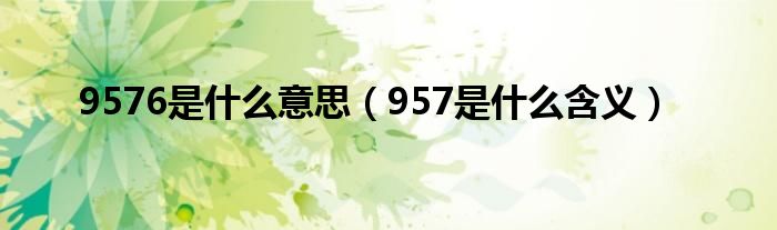 9576是什么意思（957是什么含义）