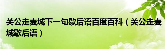 关公走麦城下一句歇后语百度百科（关公走麦城歇后语）