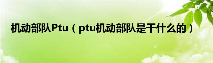 机动部队Ptu（ptu机动部队是干什么的）