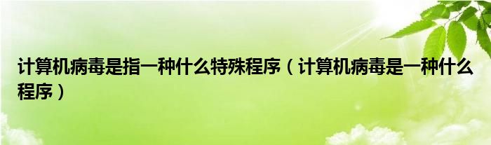 计算机病毒是指一种什么特殊程序（计算机病毒是一种什么程序）