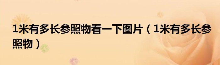 1米有多长参照物看一下图片（1米有多长参照物）