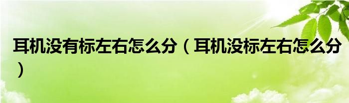 耳机没有标左右怎么分（耳机没标左右怎么分）