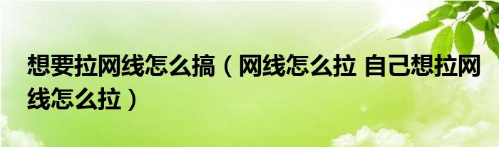 想要拉网线怎么搞（网线怎么拉 自己想拉网线怎么拉）