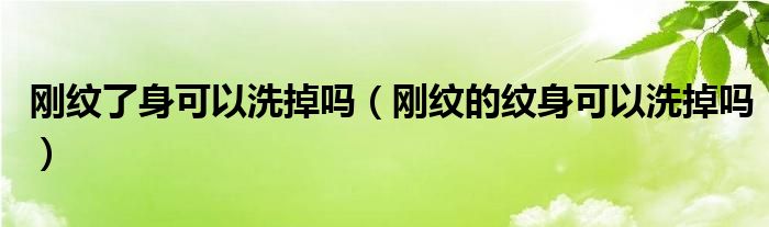 刚纹了身可以洗掉吗（刚纹的纹身可以洗掉吗）