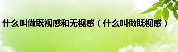 什么叫做既视感和无视感（什么叫做既视感）