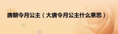 唐朝令月公主（大唐令月公主什么意思）