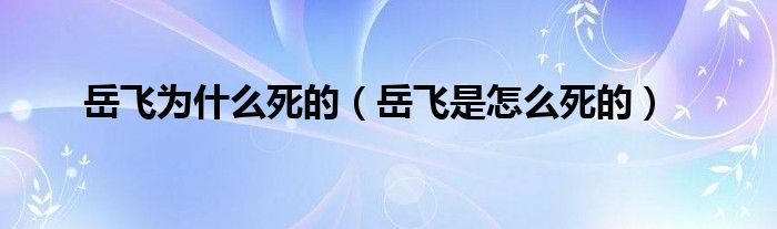 岳飞为什么死的（岳飞是怎么死的）