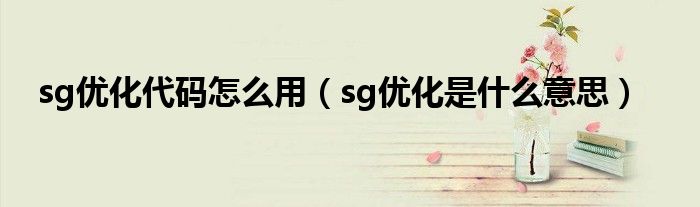 sg优化代码怎么用（sg优化是什么意思）