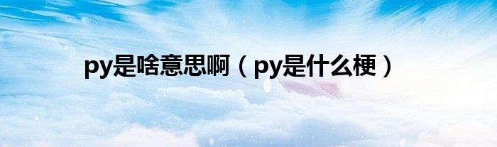 py是啥意思啊（py是什么梗）