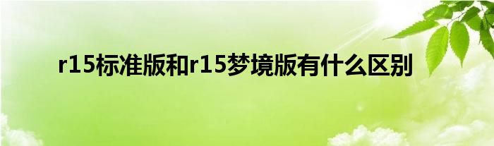 r15标准版和r15梦境版有什么区别