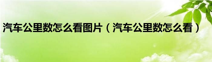 汽车公里数怎么看图片（汽车公里数怎么看）