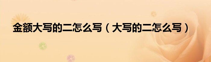 金额大写的二怎么写（大写的二怎么写）