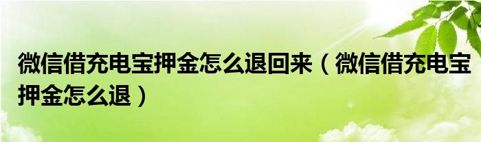 微信借充电宝押金怎么退回来（微信借充电宝押金怎么退）