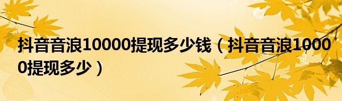 抖音音浪10000提现多少钱（抖音音浪10000提现多少）