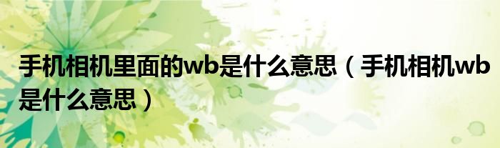 手机相机里面的wb是什么意思（手机相机wb是什么意思）