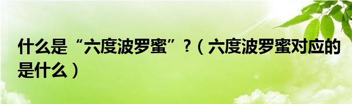 什么是“六度波罗蜜”?（六度波罗蜜对应的是什么）