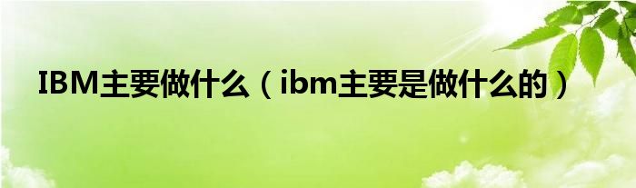 IBM主要做什么（ibm主要是做什么的）