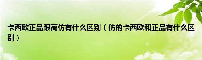 卡西欧正品跟高仿有什么区别（仿的卡西欧和正品有什么区别）